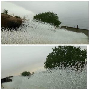 خرید حفاظ شاخ گوزنی ارزان در مشهد