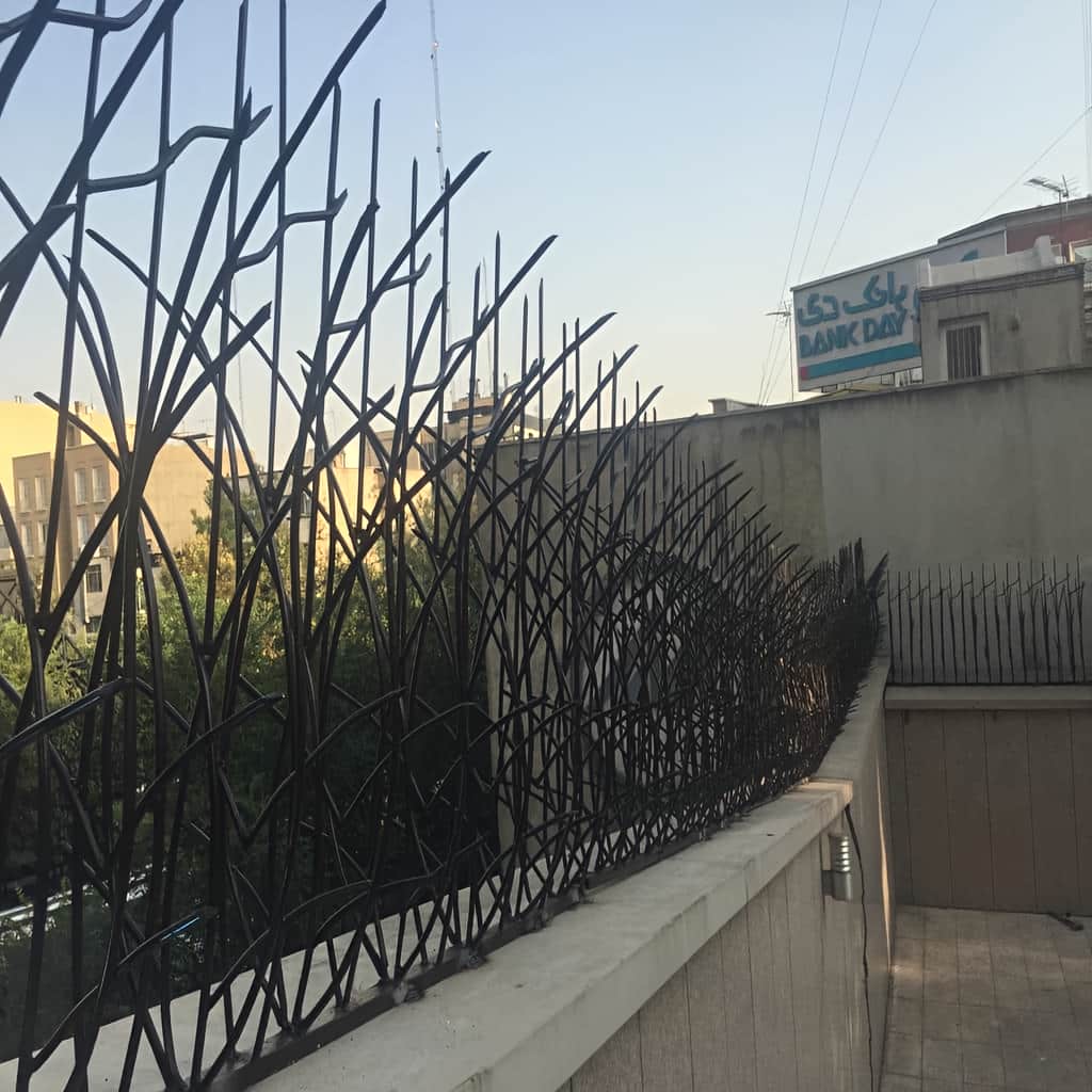 فروش حفاظ نیزار دیوار با انتخاب رنگ مناسب در مشهد