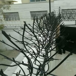12 مدل حفاظ بوته ای دیوار پرتراکم در مشهد