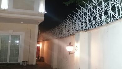 14 طرح حفاظ نیزار دیوار باغ در مشهد