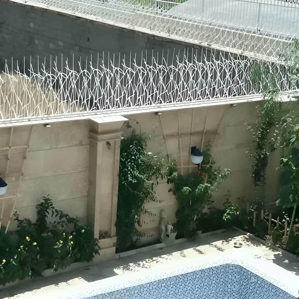حفاظ شاخ گوزنی با تراکم منظم