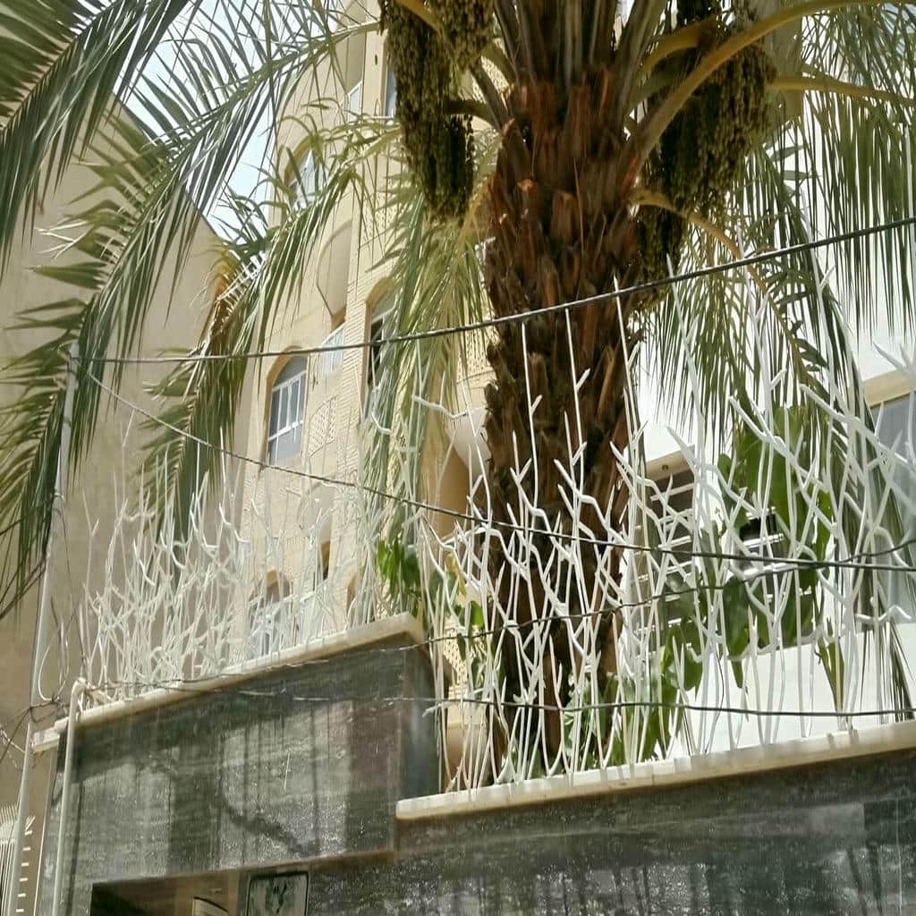 نمونه اجرای شاخ گوزنی طرح اف