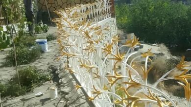 حفاظ لیلیوم با رنگ تیره در مشهد