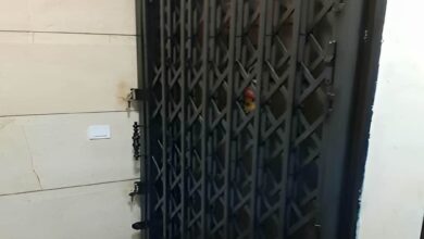 حفاظ کرکره ای مشکی هماهنگ با نمای سنگی مشهد